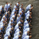 Chinese officials stress the need for more one-on-one interactions between reeducation professionals and detainees, saying that individualized attention results in higher-quality political and religious renunciations.